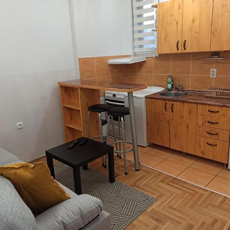 Ema Lux 3 Apartment Novi Sad Bagian luar foto