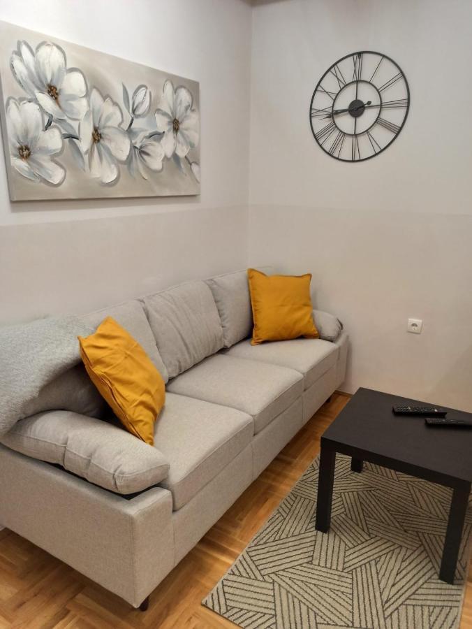 Ema Lux 3 Apartment Novi Sad Bagian luar foto